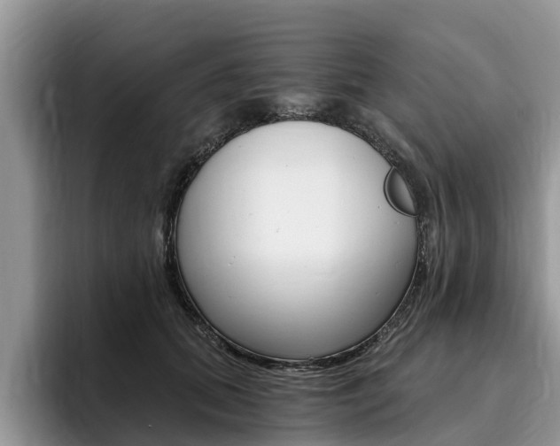 X0000096180655200801180851