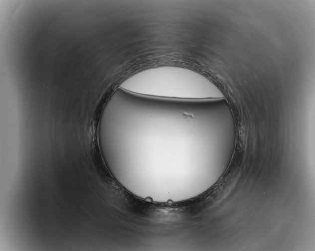 X0000096180657200801180851