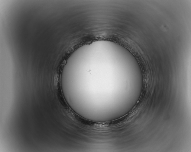 X0000096180660200801180851