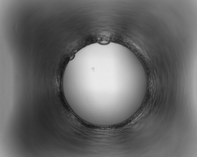 X0000096180661200801180851