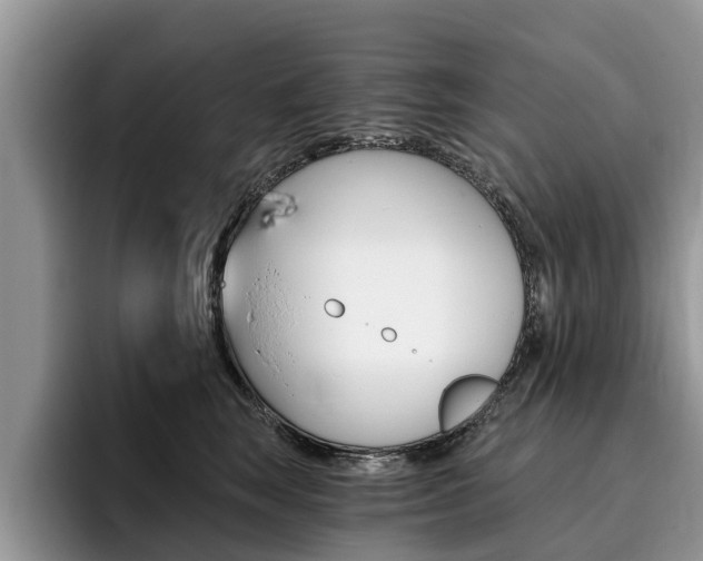 X0000096180663200801180851
