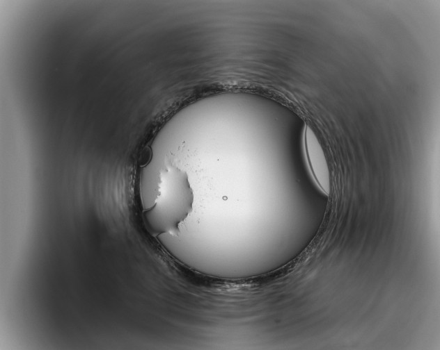 X0000096180664200801180851