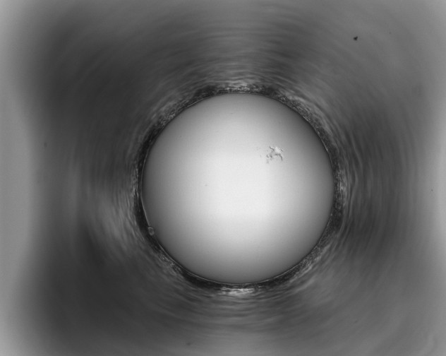 X0000096180665200801180851