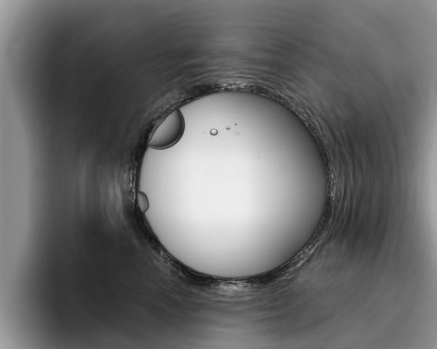 X0000096180666200801180851