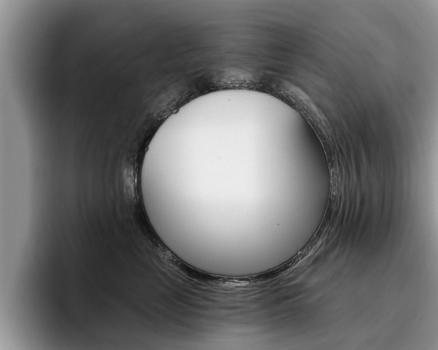 X0000096180669200801180851