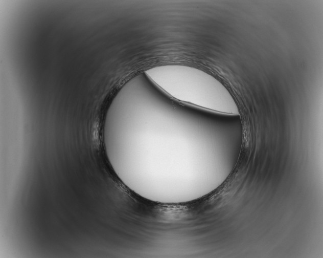 X0000096180670200801180851