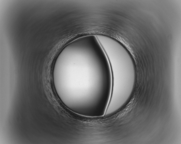 X0000096180673200801180851