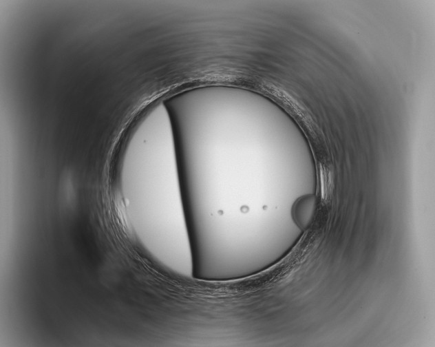X0000096180675200801180851