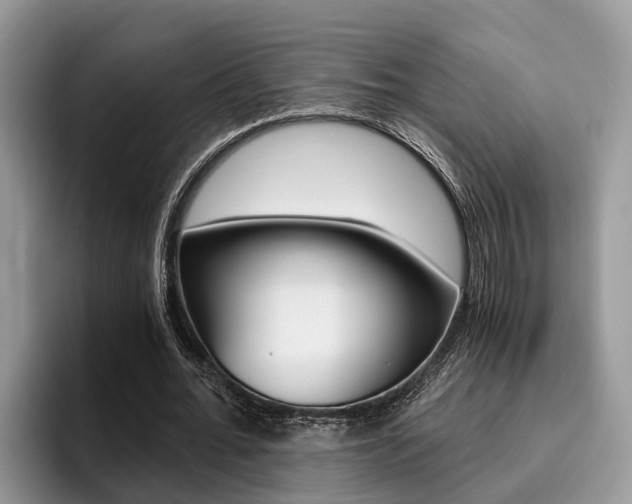 X0000096180676200801180851