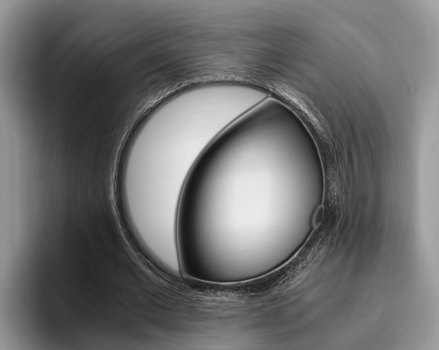 X0000096180677200801180851