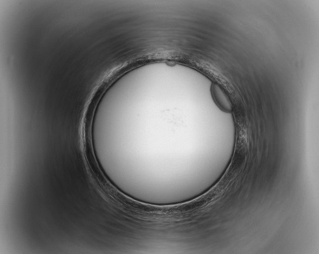 X0000096180678200801180851