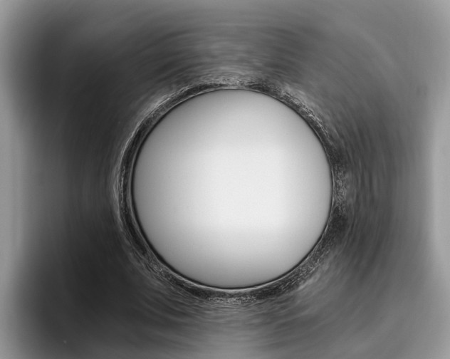 X0000096180679200801180851