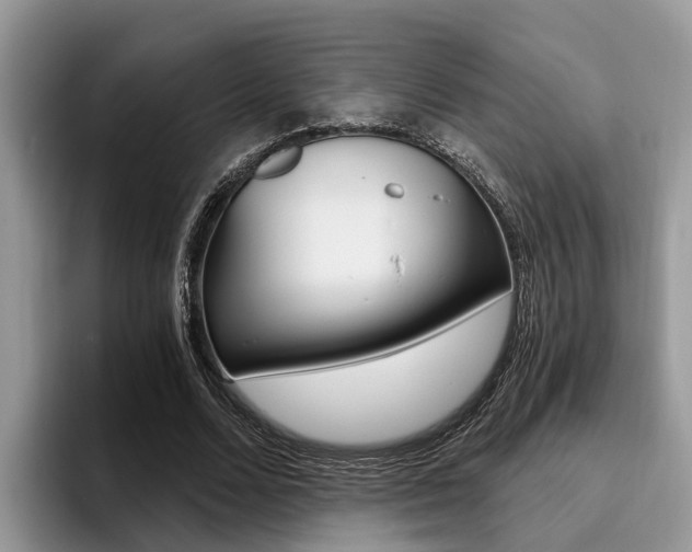 X0000096180680200801180851