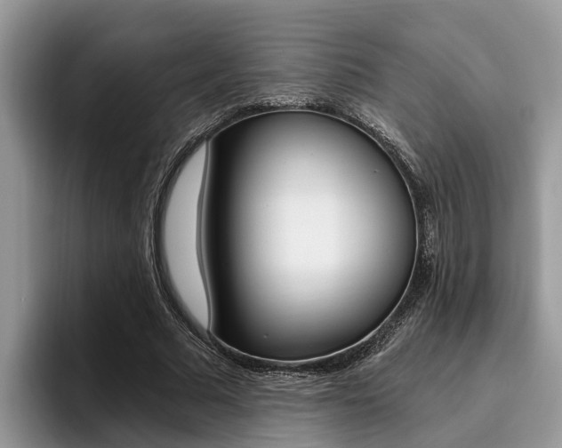 X0000096180681200801180851