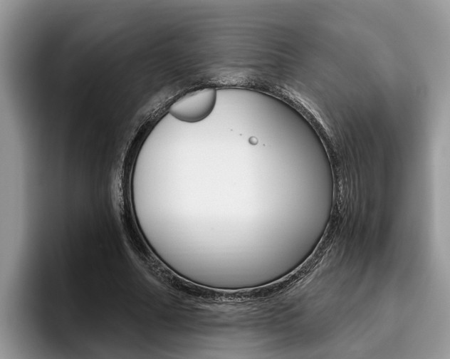 X0000096180682200801180851