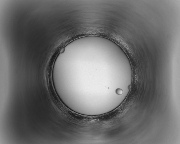 X0000096180683200801180851