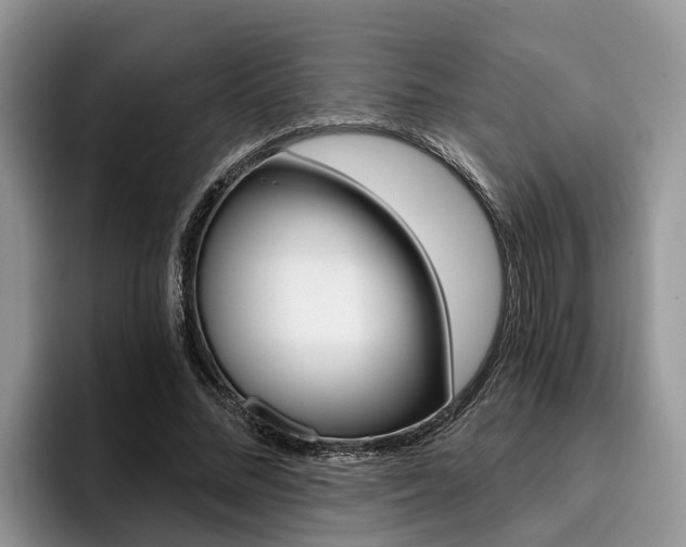 X0000096180684200801180851