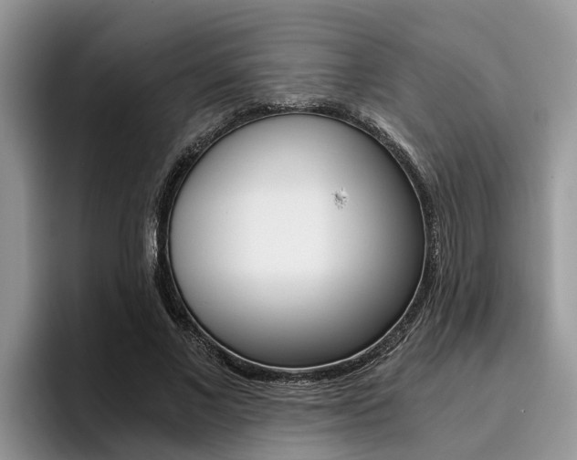 X0000096180685200801180851