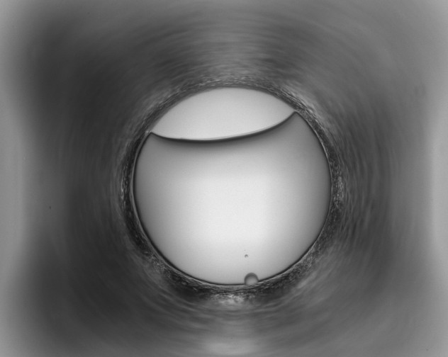 X0000096180687200801180851