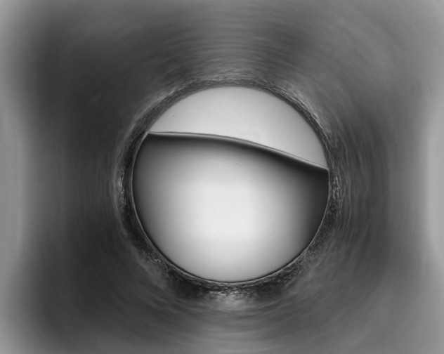 X0000096180688200801180850
