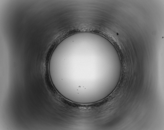 X0000096180690200801180850