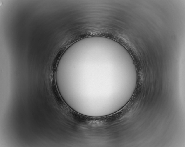 X0000096180691200801180850