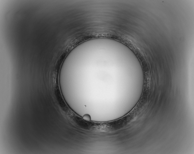 X0000096180695200801180850