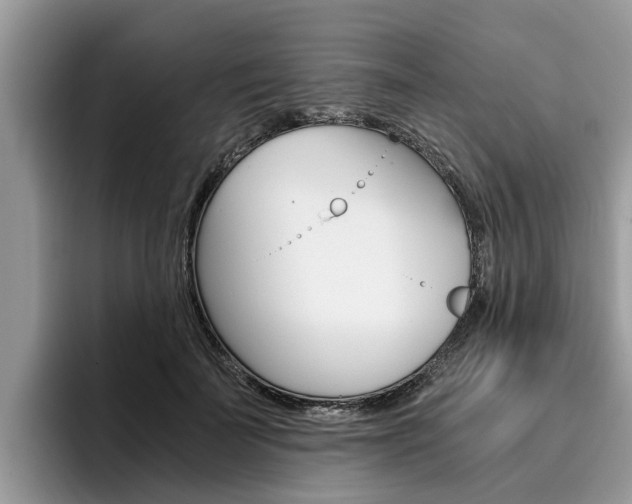 X0000096180699200801180850