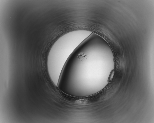 X0000096180700200801180850