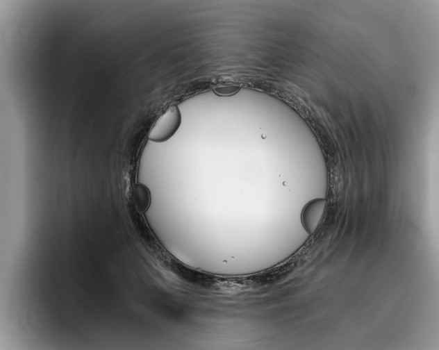 X0000096180703200801180850