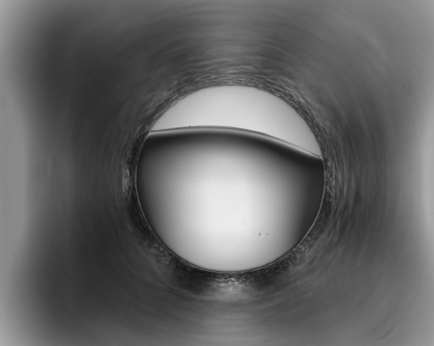 X0000096180704200801180850