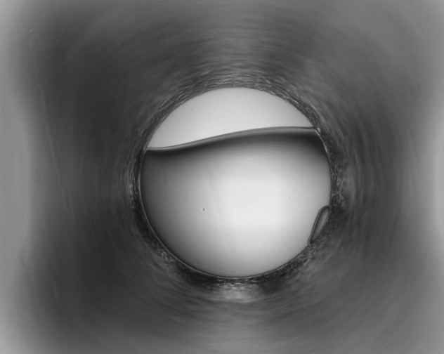 X0000096180708200801180850
