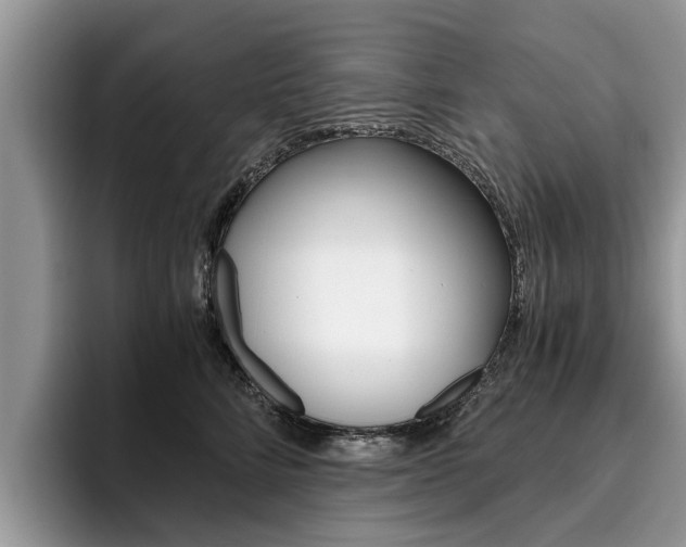 X0000096180712200801180850