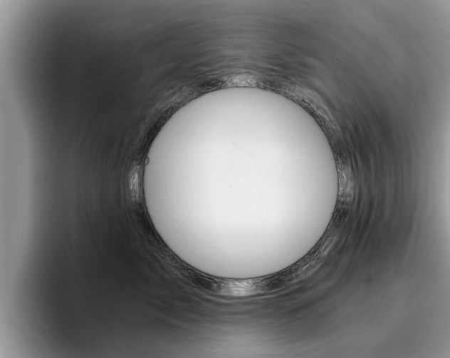 X0000096180717200801180850