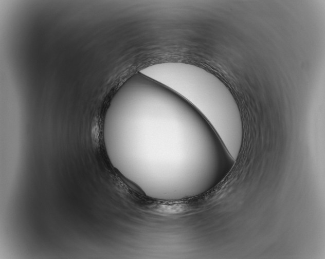 X0000096180720200801180850