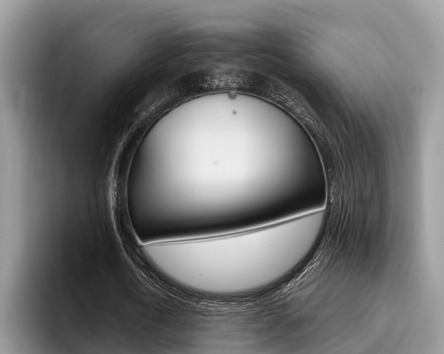 X0000096180722200801180849