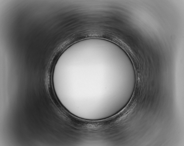 X0000096180725200801180849