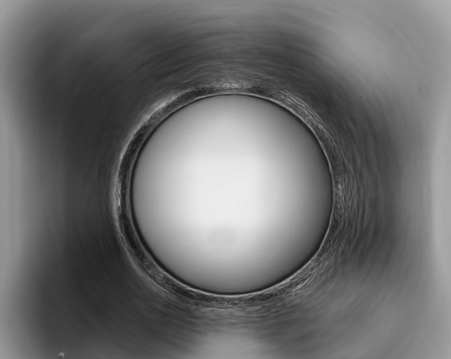 X0000096180726200801180849