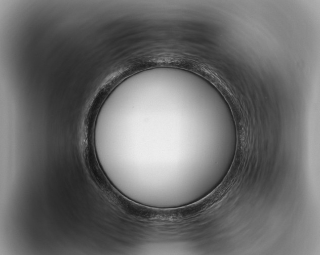 X0000096180727200801180849