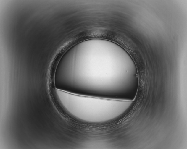 X0000096180728200801180849