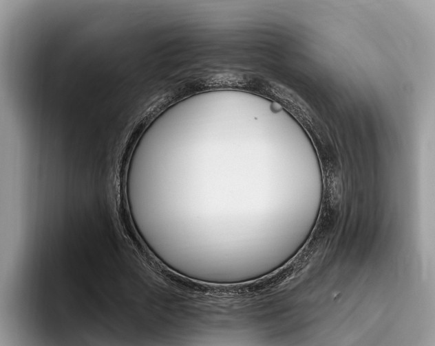 X0000096180729200801180849