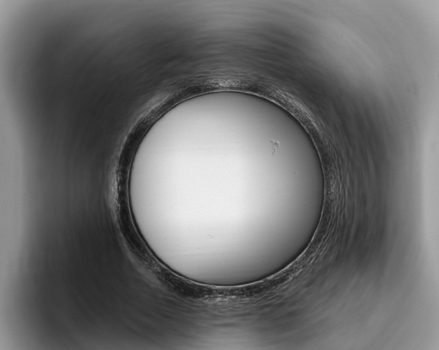 X0000096180730200801180849