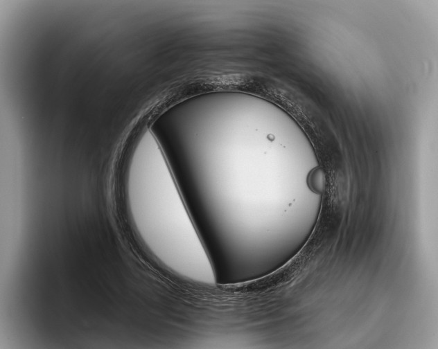 X0000096180731200801180849