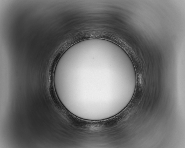 X0000096180733200801180849