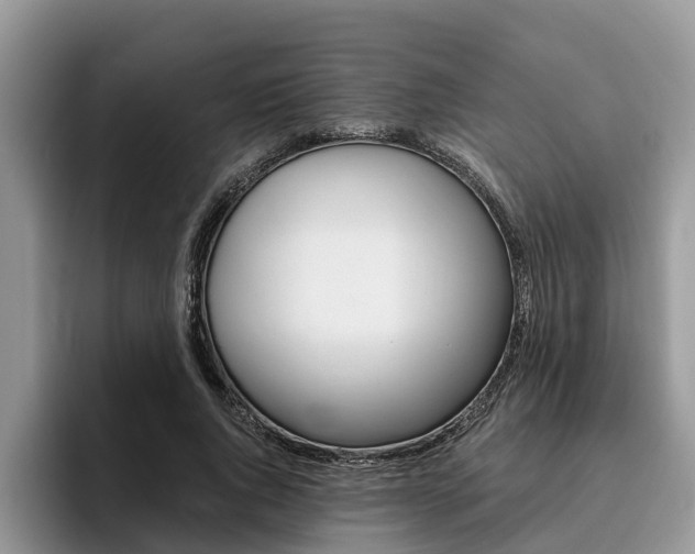 X0000096180736200801180849