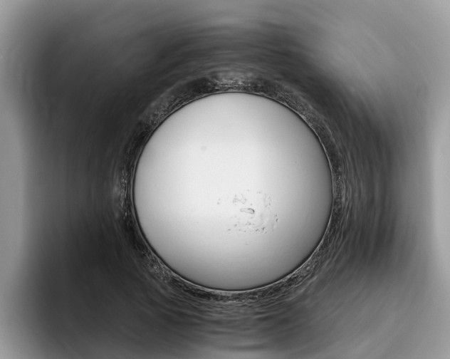 X0000096180737200801180850