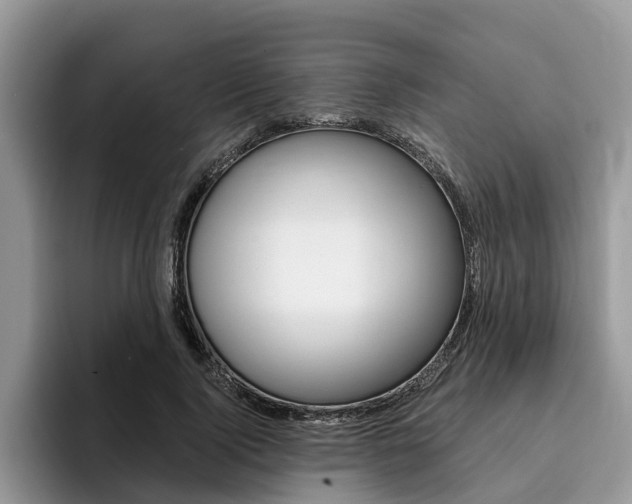 X0000096180740200801180850