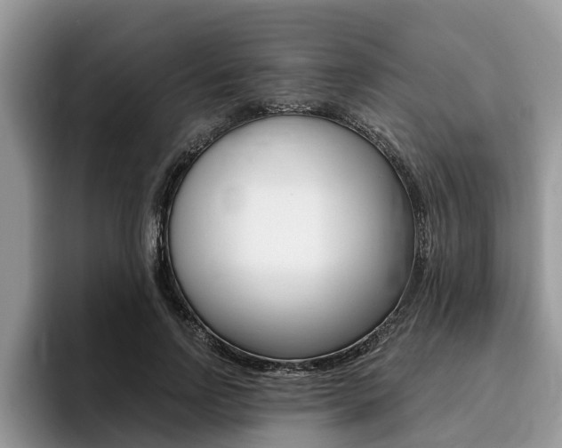 X0000096180742200801180850