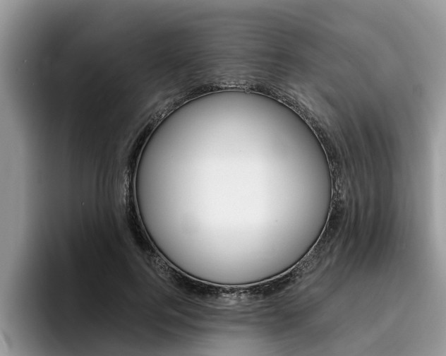 X0000096180744200801180850