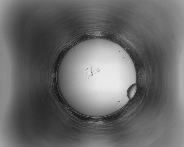 X0000096180747200801180850